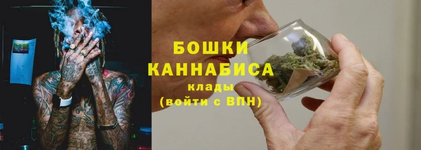 ГАЛЛЮЦИНОГЕННЫЕ ГРИБЫ Гусев