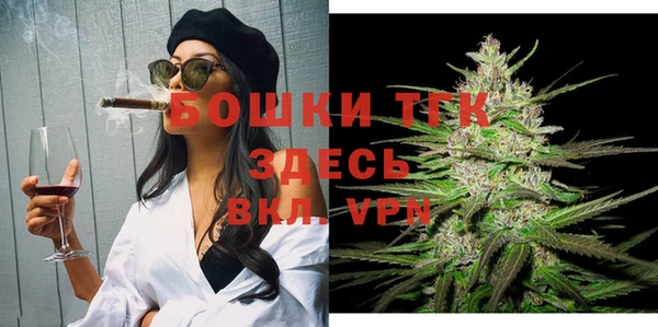ГАЛЛЮЦИНОГЕННЫЕ ГРИБЫ Гусев