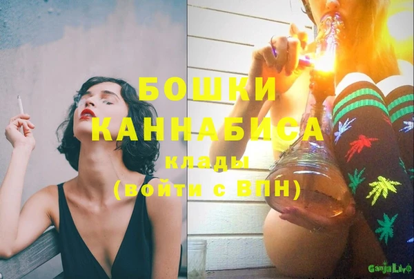 ГАЛЛЮЦИНОГЕННЫЕ ГРИБЫ Гусев