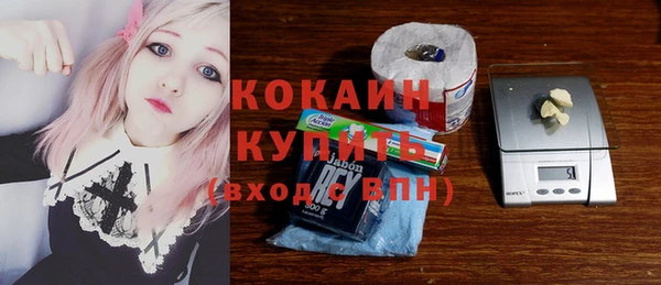 ГАЛЛЮЦИНОГЕННЫЕ ГРИБЫ Гусев