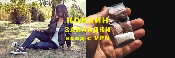 ГАЛЛЮЦИНОГЕННЫЕ ГРИБЫ Гусев